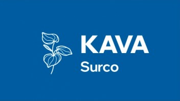 Logo KAVA