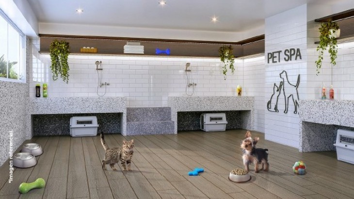 Departamentos en Jesus Maria