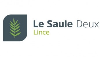 Logo Le Saule Deux