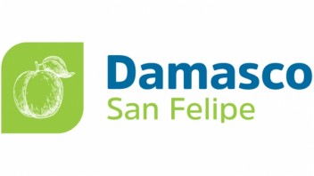 Logo Damasco