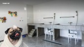 Departamentos en Rimac