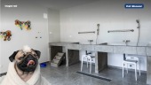 Departamentos en Rimac
