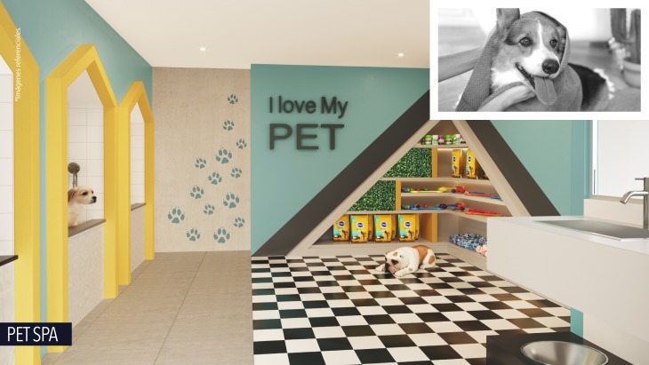 Departamentos en Breña