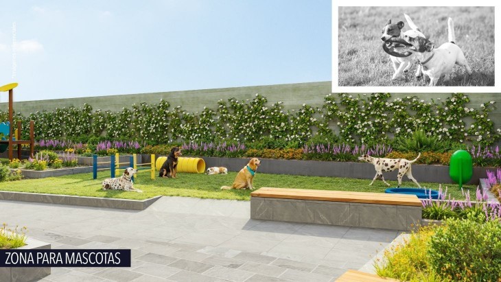 Departamentos en Breña