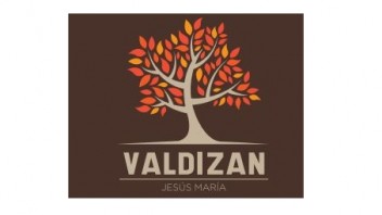 Logo Edificio Valdizan