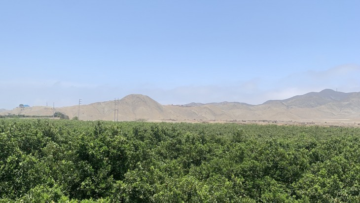 Fachada principal del proyecto Villa Querencia en Lima