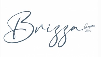 Logo BRIZZA