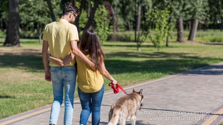 Departamentos en Lince