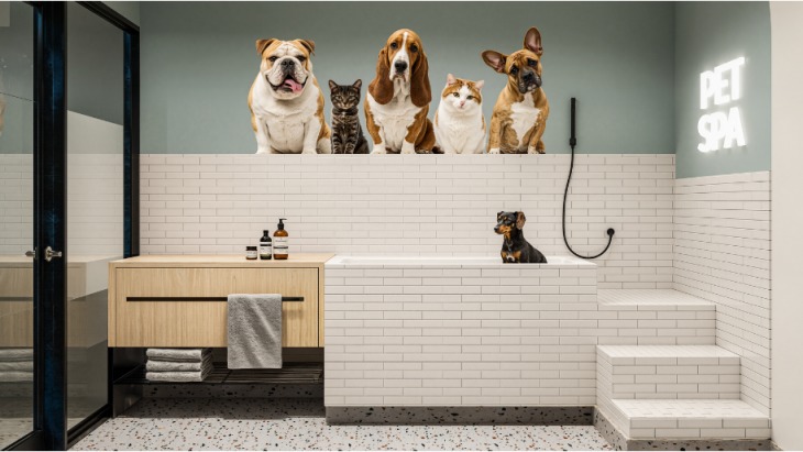 Departamentos en Pueblo Libre