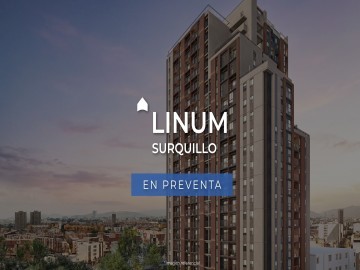 Linum