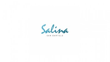 Logo Salina
