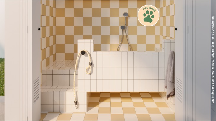 Departamentos en San Miguel