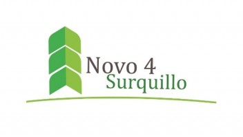 Logo Novo 4