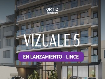 Vizuale 5 - Departamentos en Lince