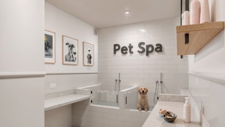 Departamentos en San Miguel