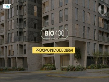 Quatro | BIO 430