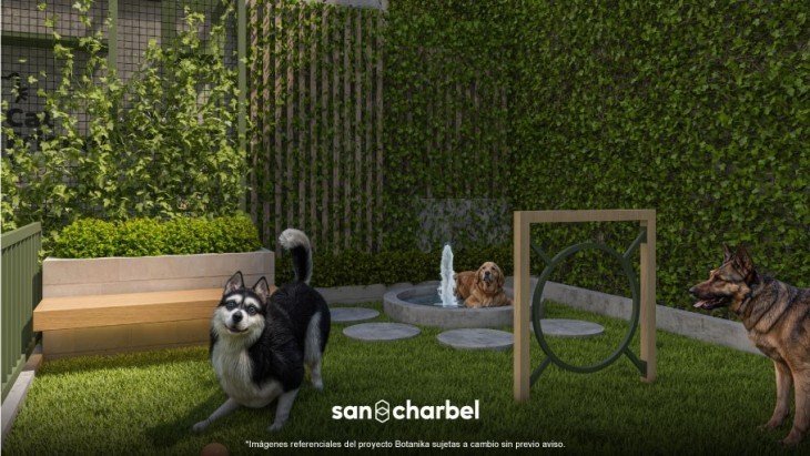 Departamentos en San Miguel