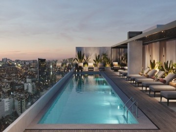 LOOP - SANTA CATALINA